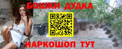 spice Кимры