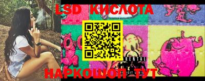 spice Кимры