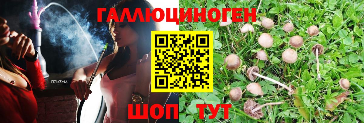 Чернушка  Галлюциногенные грибы мухоморы  Вход с VPN 