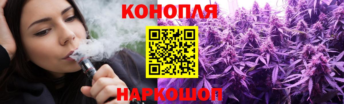Чернушка  Бошки Шишки MAZAR  Конопля гибрид  Канабис планчик  Вход с VPN 